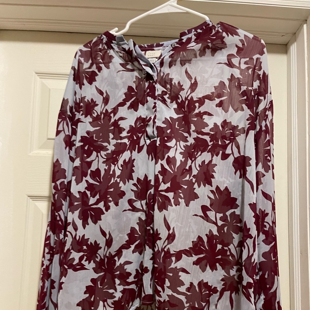 Large sheer tunic large